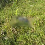 Encuentran sin vida a hombre que había sido reportado como desaparecido en Sabana Grande de Boyá