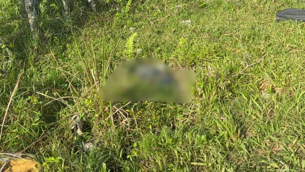 Encuentran sin vida a hombre que había sido reportado como desaparecido en Sabana Grande de Boyá