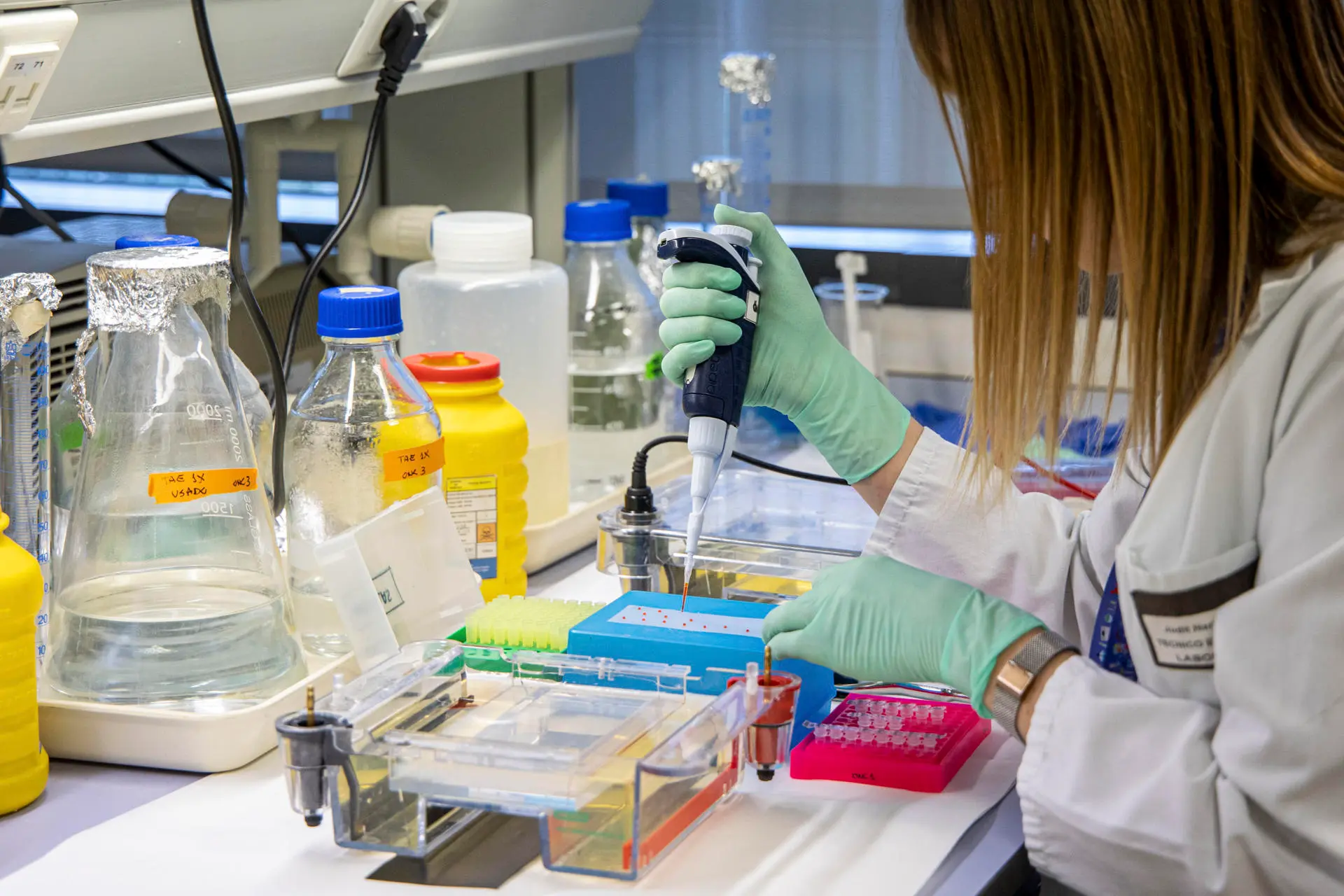 OMS: Más del 90 % sufrirá algún tipo de cáncer