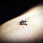 Salud Pública reporta reducción de dengue y malaria en República Dominicana