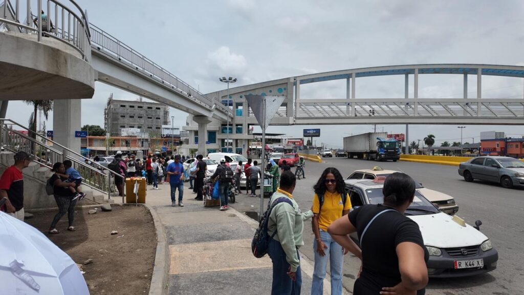Ciudadanos exigen renuncia de Faride Raful