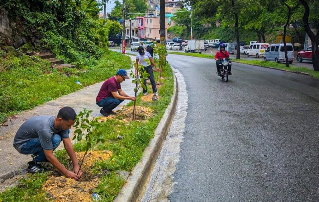 Medio Ambiente