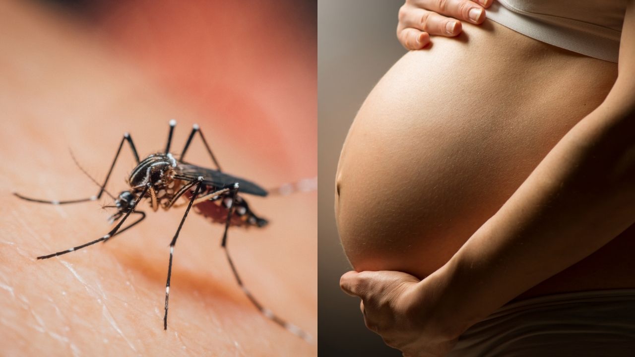 Salud Pública reportan reducción de casos de dengue, malaria y mortalidad materna.