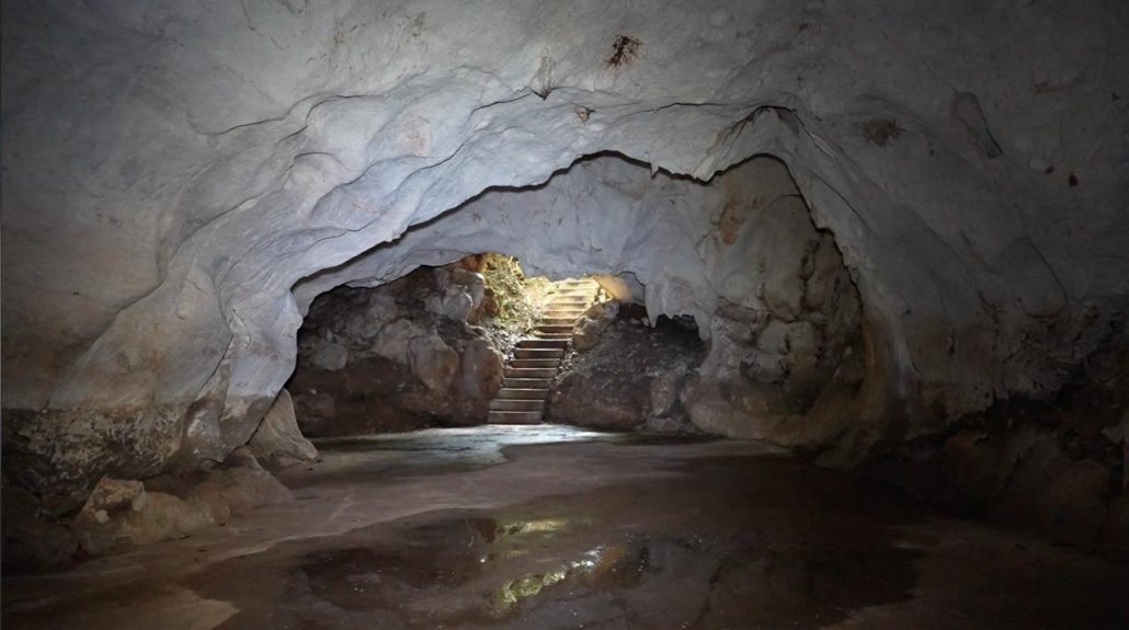 Cuevas del Pomier