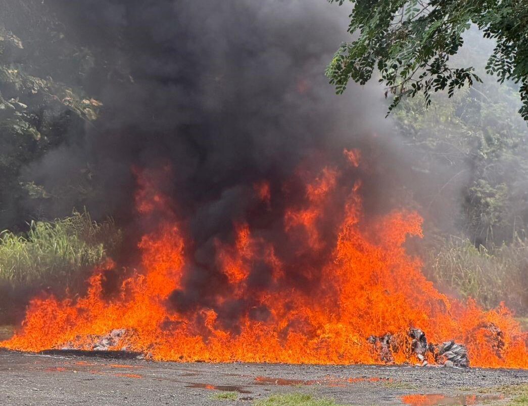 Inacif destruye cerca de una tonelada de drogas incautadas