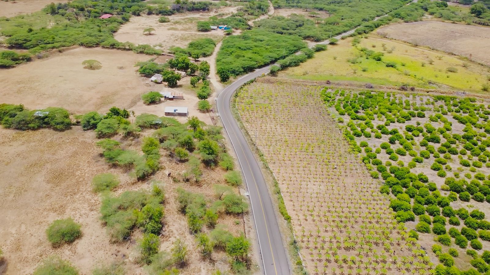 Abinader inaugura carretera esperada por 60 años en Montecristi