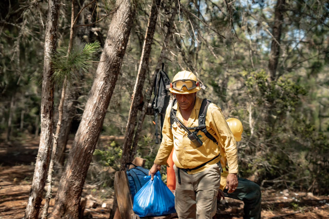 Medio Ambiente controla en un 99 % incendio forestal en la Sierra de Bahoruco