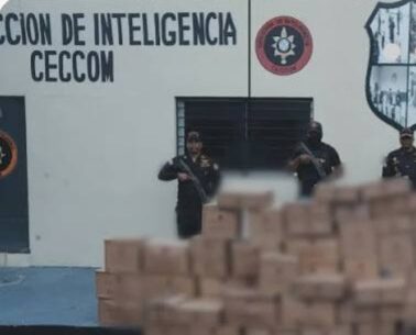 Incautan casi 5 mil productos adulterados y vencidos en San Cristóbal FOTO: ARCHIVO