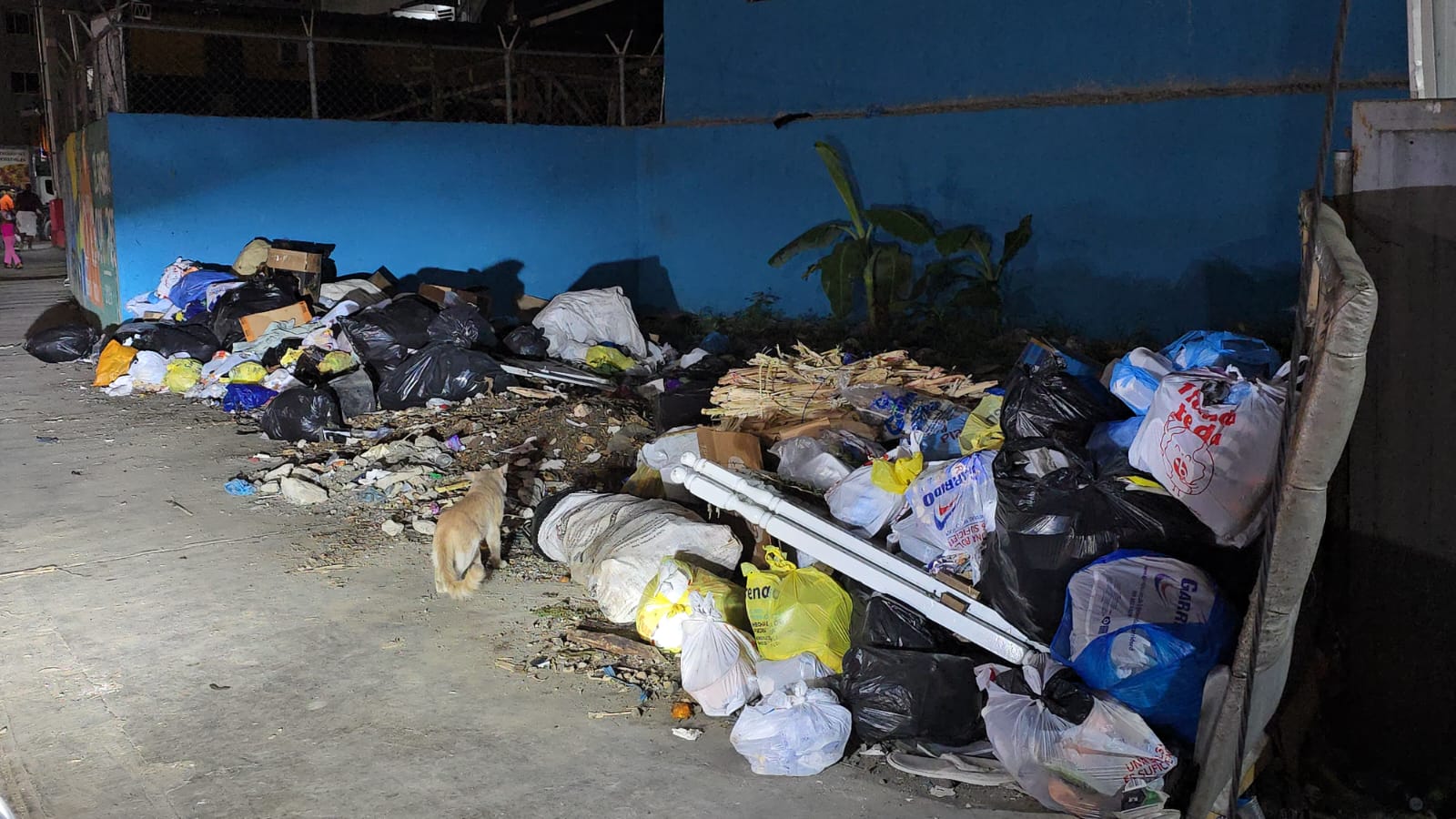 Basura en la Calle Primera del Kilómetro 14 de la autopista Duarte / Karina Jiménez
