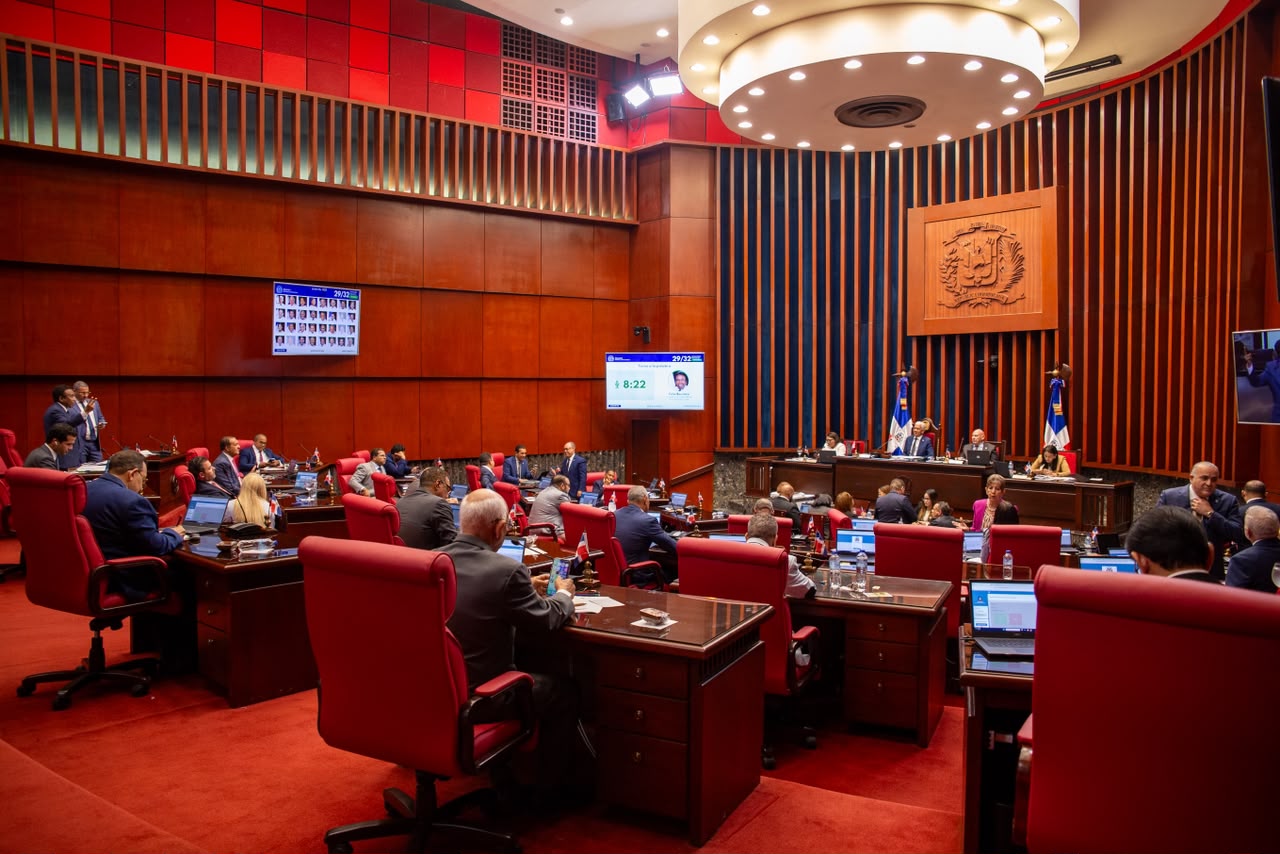 Senado aprueba en primera lectura reformas a Ley Orgánica de la Policía Nacional.